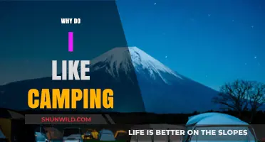 Embracing the Wilderness: Unraveling the Joys of Camping