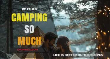 Why Camping Captures My Heart: A Love Story