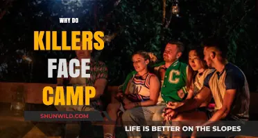 Unmasking the Myths: Killers and the Camping Controversy