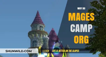 Exploring the Reasons Behind Mage Camping in World of Warcraft