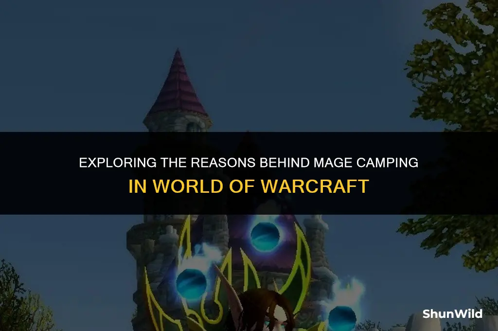 why do mages camp org