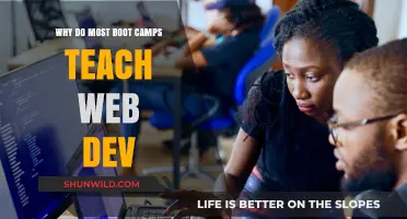 Why Web Development Dominates Boot Camp Curriculums: Key Insights