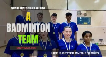 Badminton Teams: Why Are Schools Not Playing?