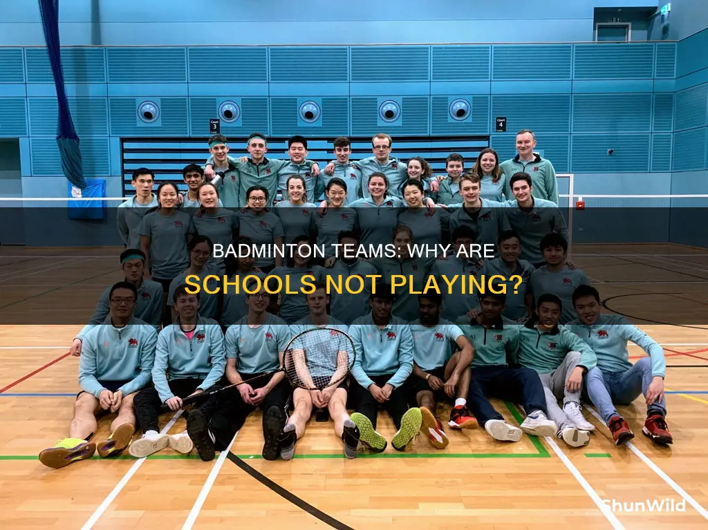 why do most schools not have a badminton team