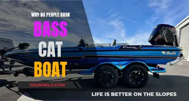 Bass Cat Boat: Why the Unfair Criticism?