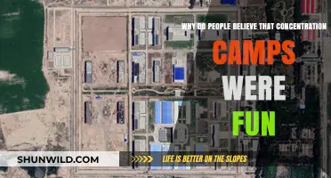 Debunking the Myth: Concentration Camps as 'Fun' – A Historical Perspective