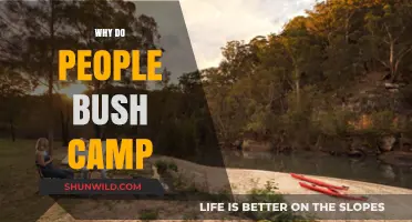 Embracing the Wilderness: The Allure of Bush Camping Explained