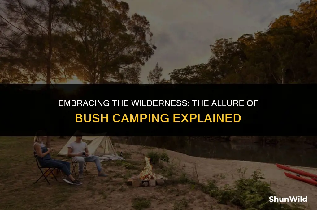 why do people bush camp