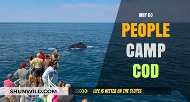 Unraveling the Mystery: Why Do People Camp Cod?
