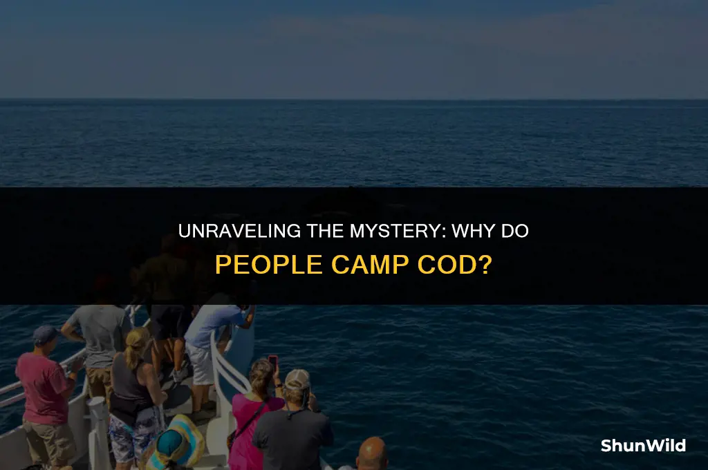 why do people camp cod