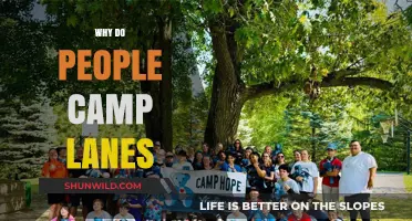 Exploring the Psychology Behind Lane Camping in Gaming