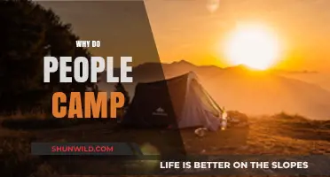Exploring the Great Outdoors: The Joys and Benefits of Camping