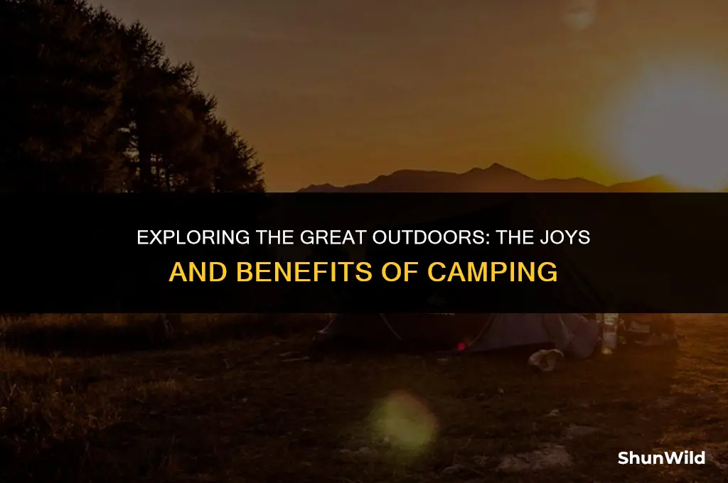 why do people camp