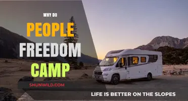 Embracing the Open Road: The Allure of Freedom Camping