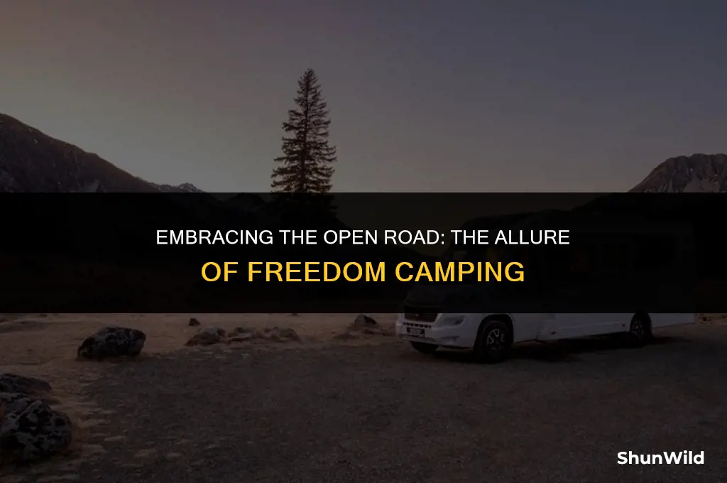 why do people freedom camp