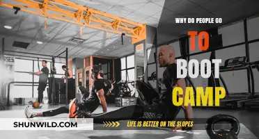 Why Boot Camps Attract People Seeking Rapid Fitness Transformations