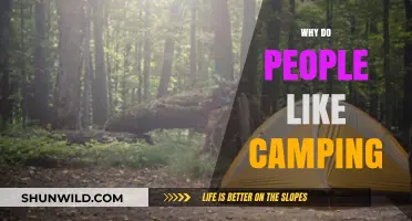 Why Camping Captivates: Exploring Nature's Allure and Outdoor Joys