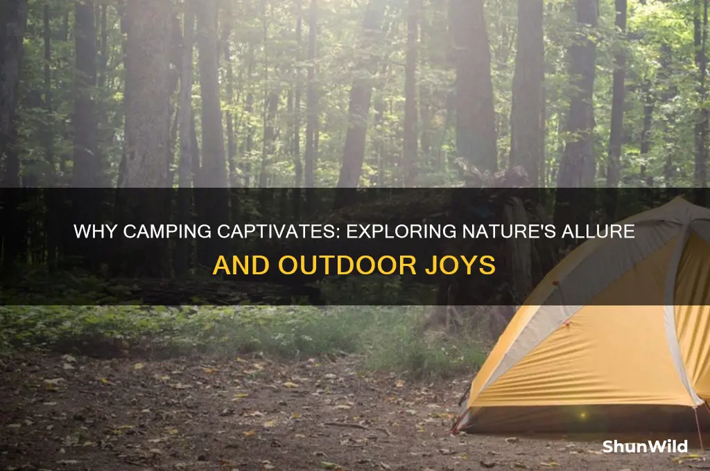 why do people like camping