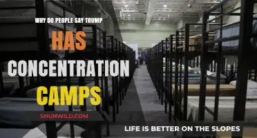 Trump's Detention Centers: Are They Modern Concentration Camps?