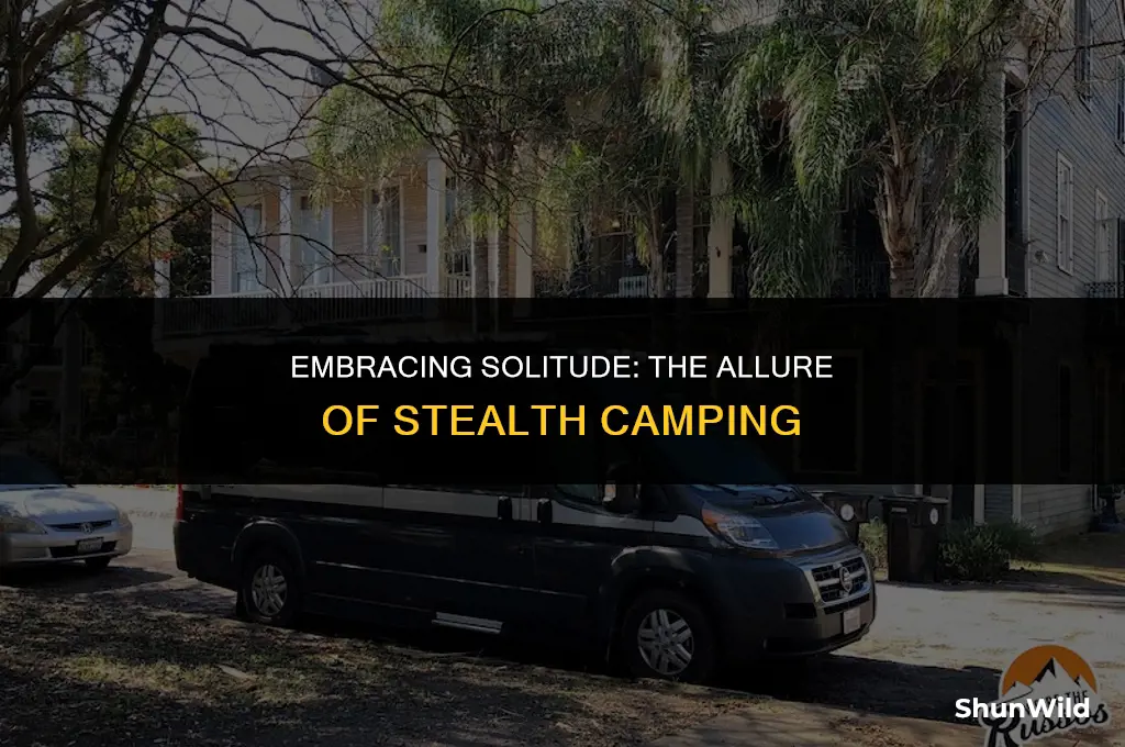 why do people stealth camp