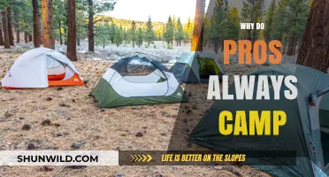 Decoding the Pros' Camping Obsession: A Deep Dive into Gaming Strategy