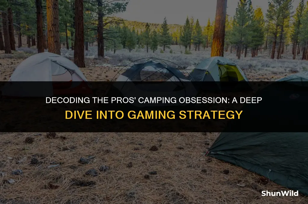 why do pros always camp