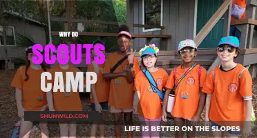 Embracing the Wilderness: The Timeless Tradition of Scout Camping