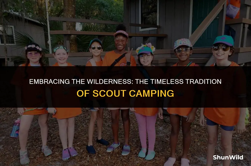 why do scouts camp