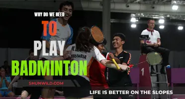 Badminton: Fun, Fitness, and Friendship