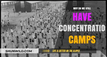 Concentration Camps Persist: Unraveling the Dark Legacy of Oppression