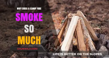 Why Campfires Smoke: Unraveling the Science Behind the Haze