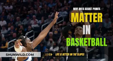 Assist Points: The Unsung Heroes of Basketball Strategy