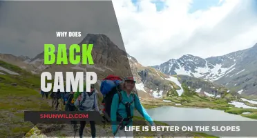 Exploring the Reasons Behind Back Camping: A Comprehensive Guide