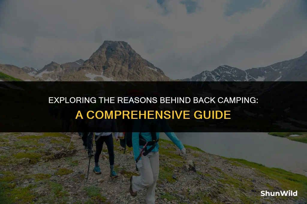 why does back camp