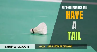 The Badminton Ball's Tail Mystery Explained