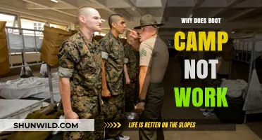 Why Boot Camps Fail: Uncovering the Hidden Pitfalls of Quick Fixes