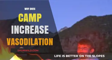 Exploring the Link Between Camping and Increased Vasodilation