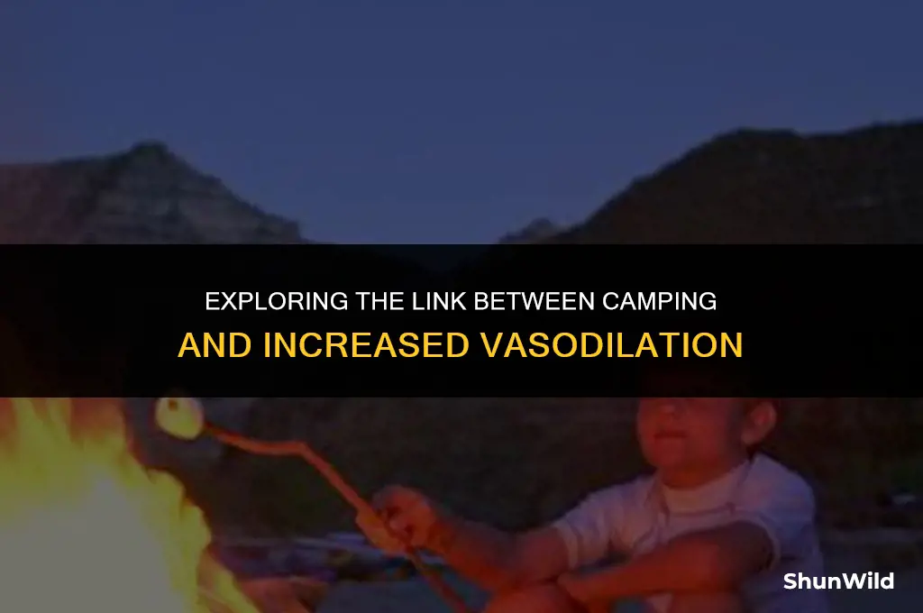 why does camp increase vasodilation