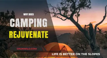 Reconnecting with Nature: The Rejuvenating Power of Camping