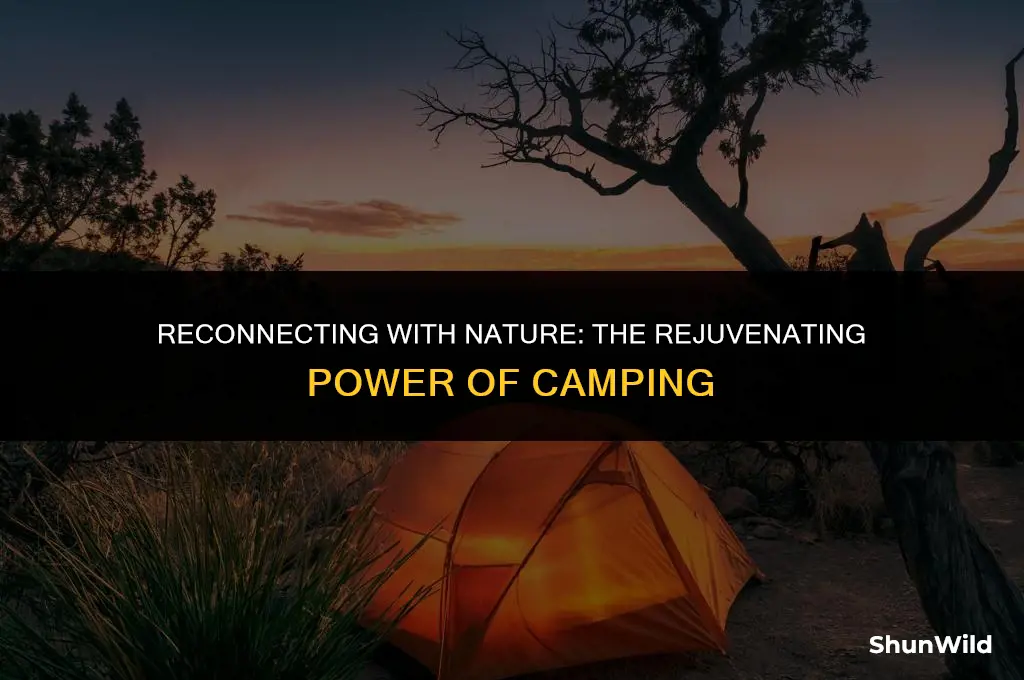 why does camping rejuvenate