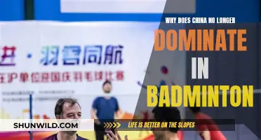 Badminton's New Era: China's Dominance Ends