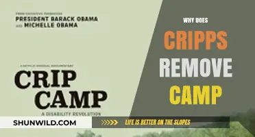 Unraveling the Mystery: Why Cripps Removes Camps in GTA Online