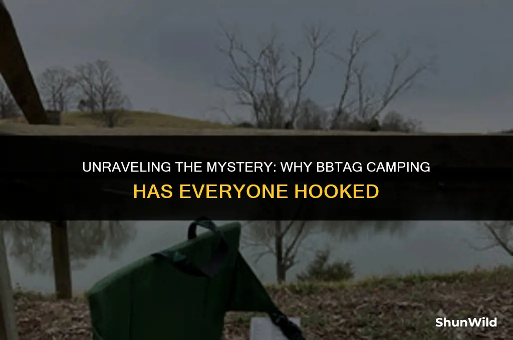 why does everyone camp bbtag