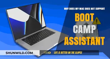 Why Your Mac Doesn't Support Boot Camp Assistant: Key Reasons Explained