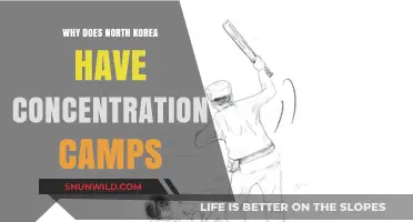 North Korea's Hidden Atrocities: The Truth About Concentration Camps