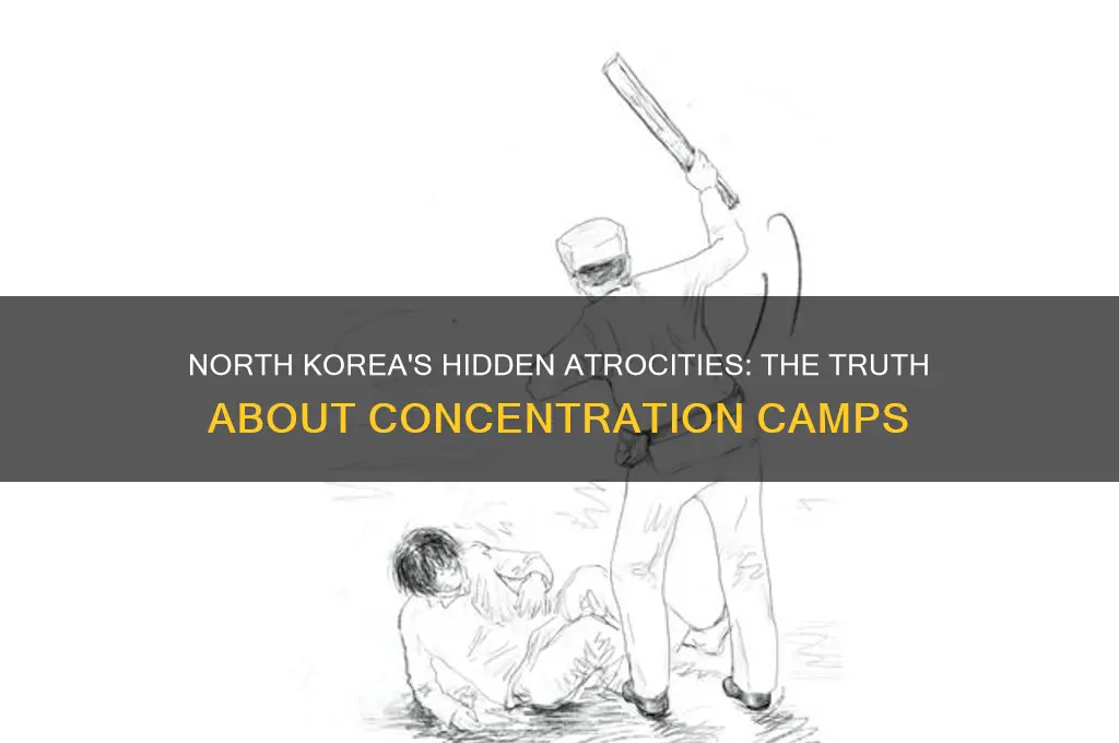 why does north korea have concentration camps