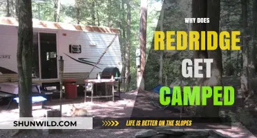 Understanding the Notorious Camping Spot: Redridge's Popularity Explained