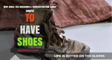 Auschwitz's Haunting Legacy: The Symbolic Significance of Preserved Shoes