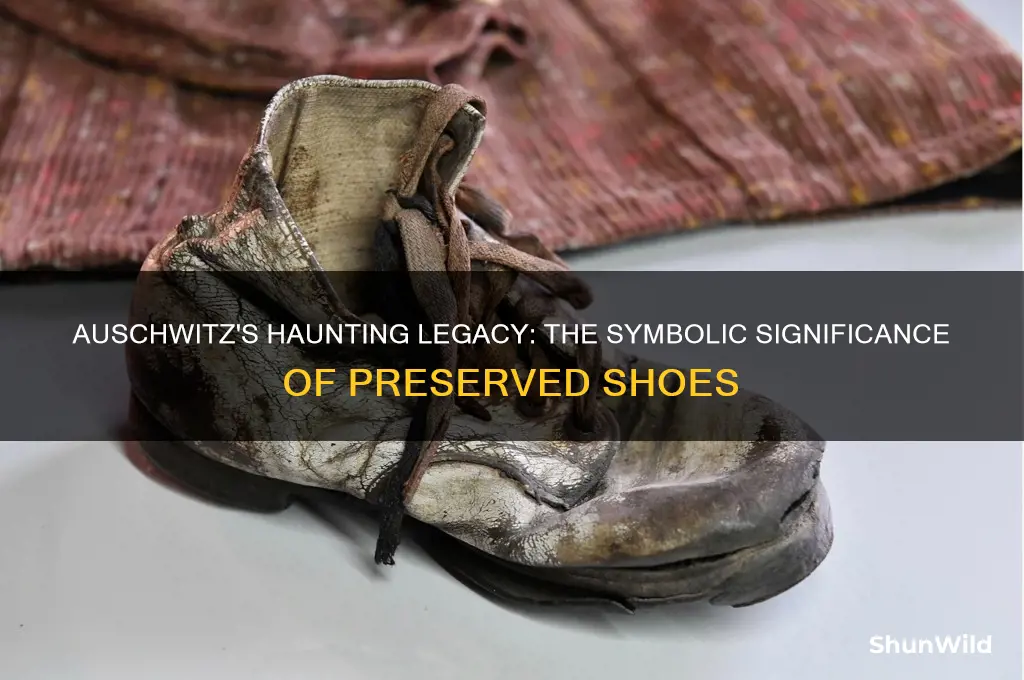 why does the auschwitz concentration camp choose to have shoes