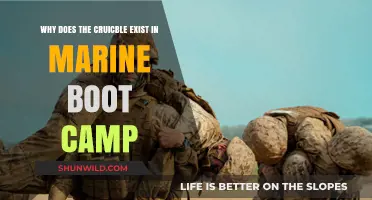 The Crucible's Purpose: Unraveling Marine Boot Camp's Ultimate Endurance Test